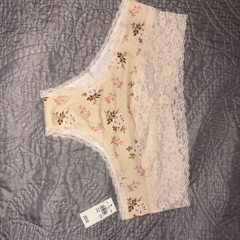 NWT AERIE CHEEKY UNDERWEAR (5 pairs)